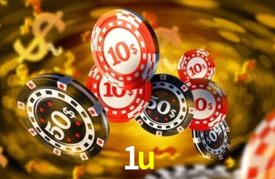Experiência VIP 1u